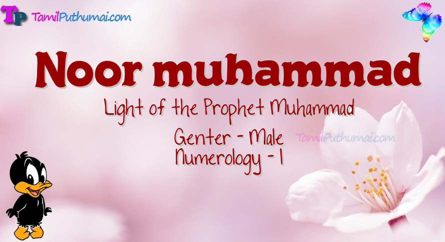 Noor muhammad-babyname-meaning